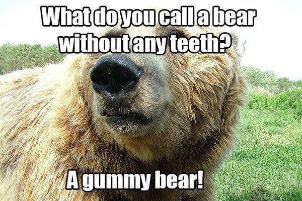 22. What do you call a bear without any teeth?