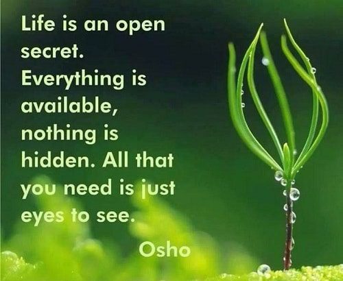 http://www.goodmorningquote.com/wp-content/uploads/2015/12/happy-osho-quotes-on-life.jpg?3b70d5