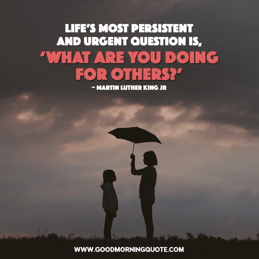 martin luther king jr quotes martin luther king jr quotes, mlk quotes, martin luther king quotes, dr martin luther king jr quotes, mlk jr quotes, mlk jr quotes, mlk quotes about love, martin luther king jr quotes about love, king quotes
