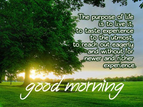 good morning inspirational quotes good morning inspirational quotes