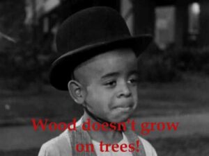 55 Best Little Rascals Quotes of all Time (with Pictures)