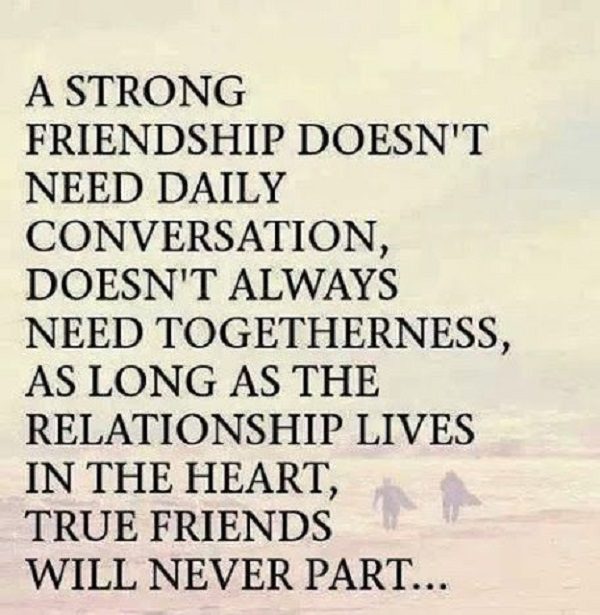 52 Best Quotes about Friendship with Images