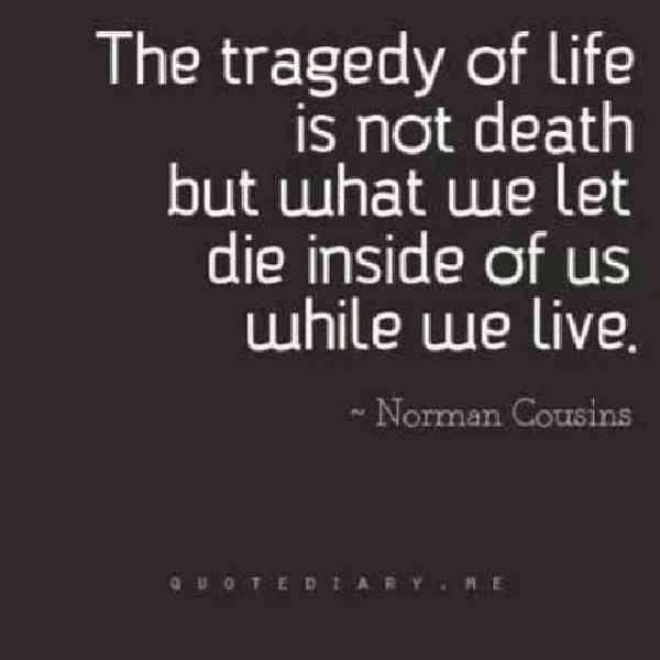 Quotes about family life and tragedy.