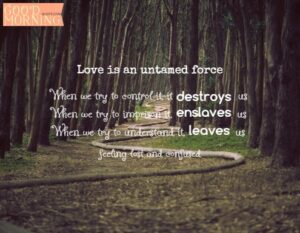 Confused love quotes for couples