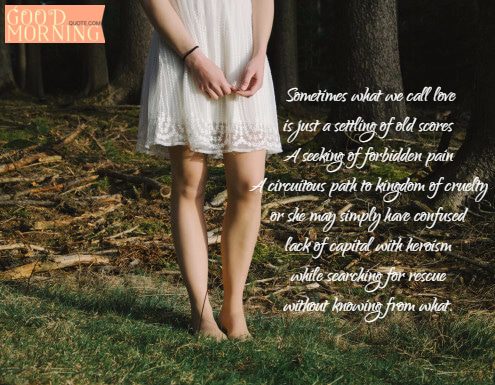 Confusing Meaning of Love Quotation