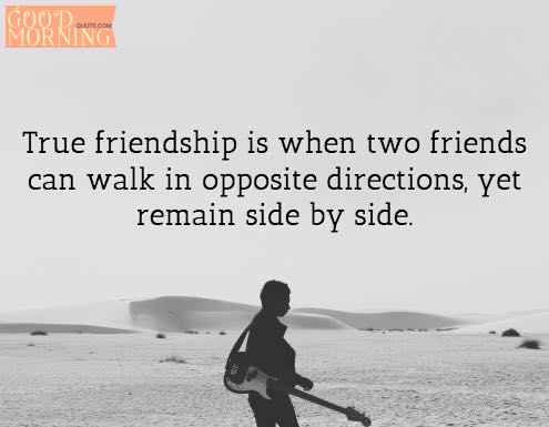 Best Friend Quotes about Friendship