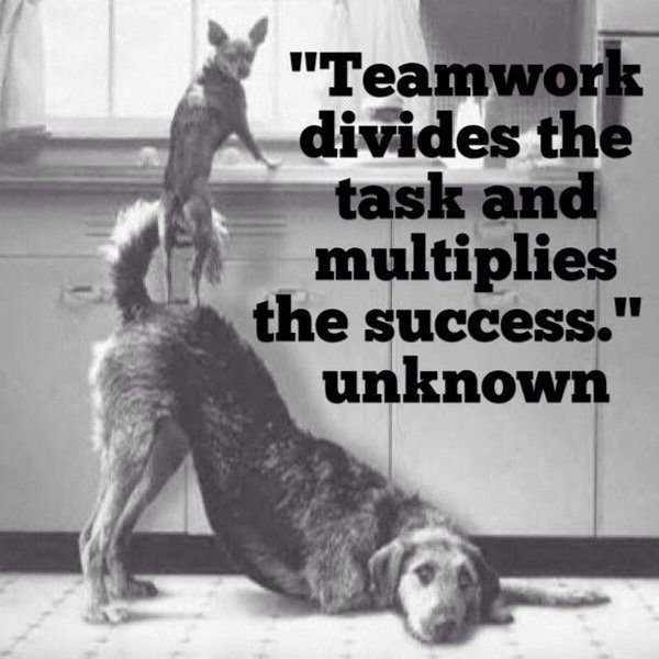teamwork quotes funny