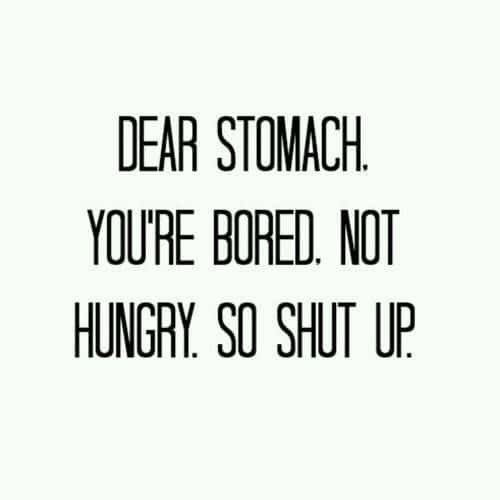 Dear Stomach