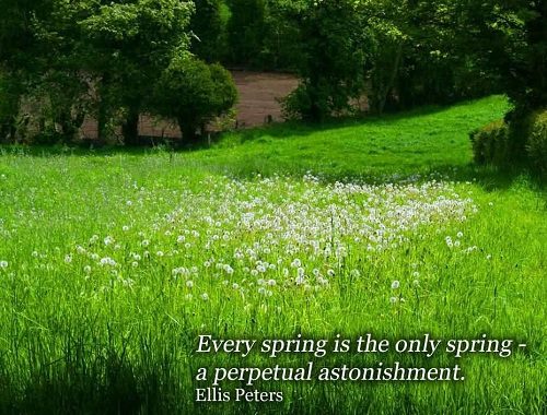 Sad Spring Quotes with Pictures