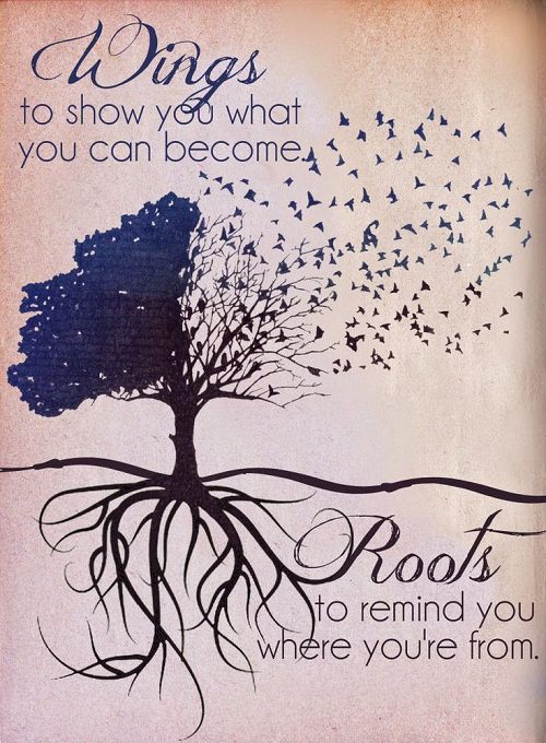 Wings to Show you Graduation Quotes