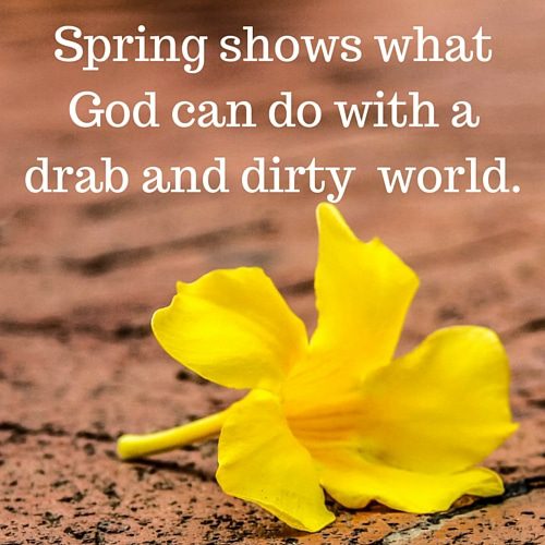 Yellow Spring Quotes