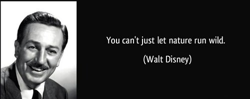 Nature Run Wild Walt Disney Quotes