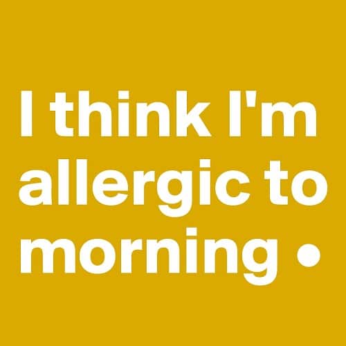 Allergic Funny Good Morning Quotes