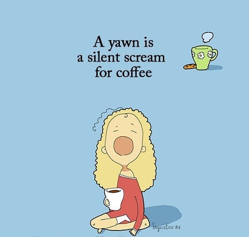 Do what you love, enjoy life and expect miracles. Good Morning Tuesday Quotes Funny : 34 Funny Good Morning Quotes With Images Good Morning Quote