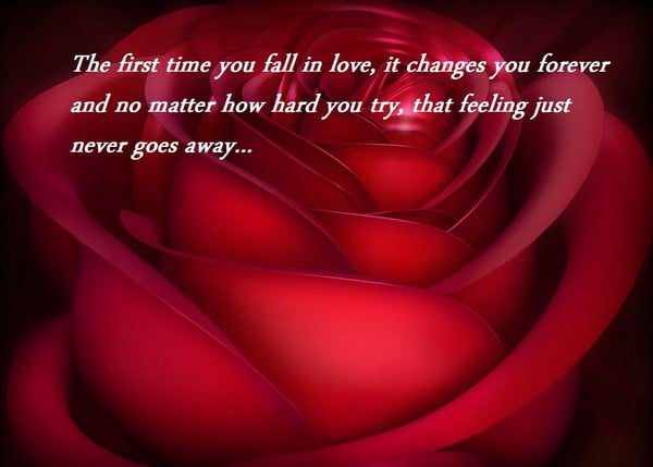 I Miss My First Love Quotes