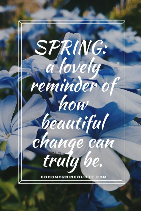 Beautiful Spring Quotes