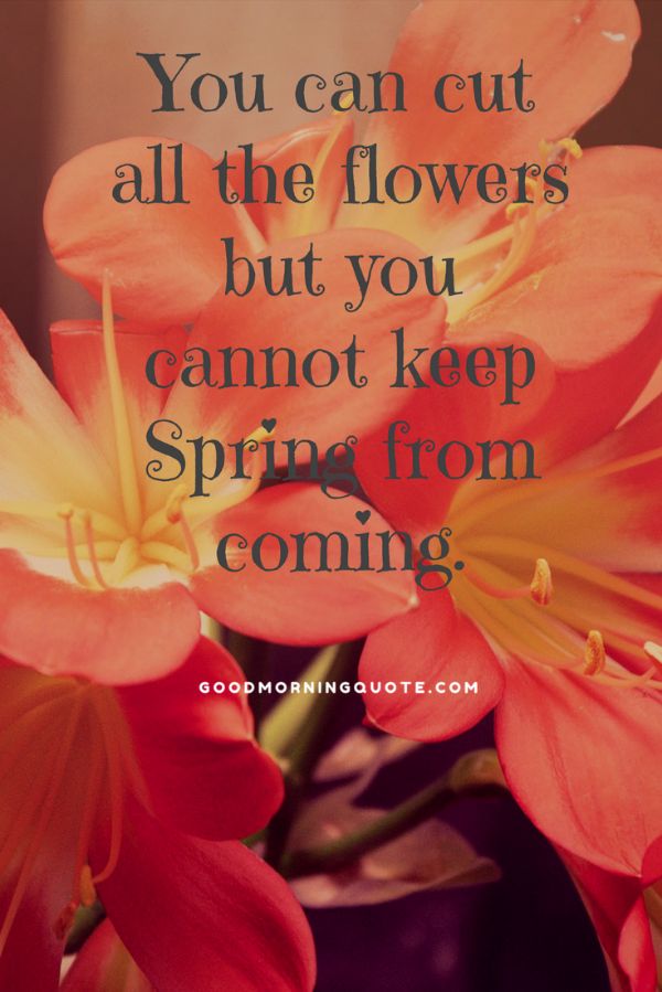Cant Wait For Spring Quotes
