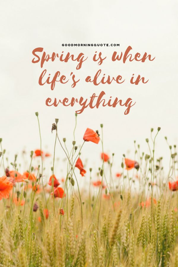 Life Spring Quotes