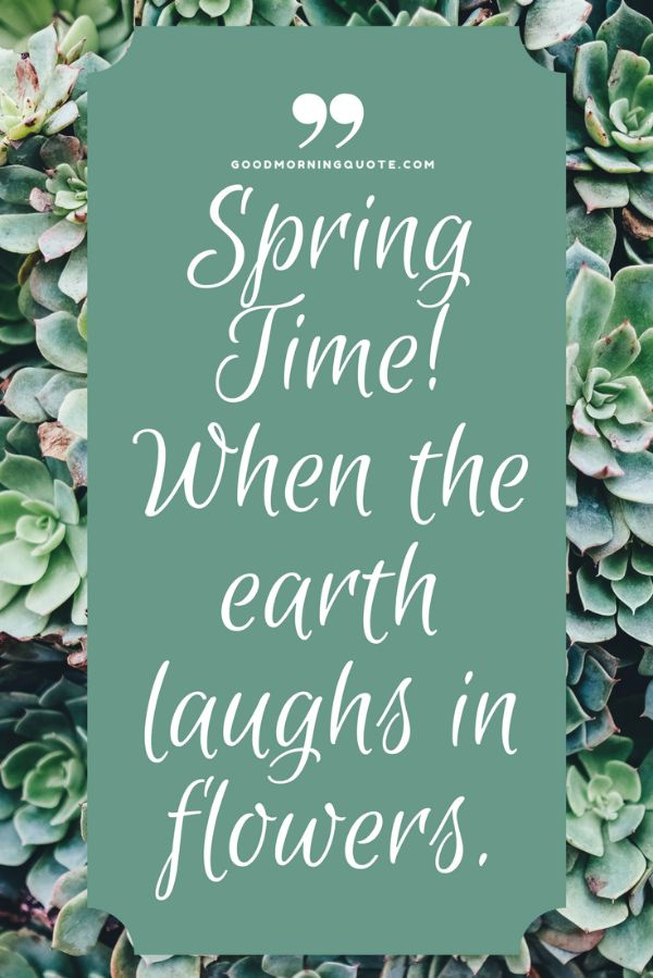 Morning Spring Quotes