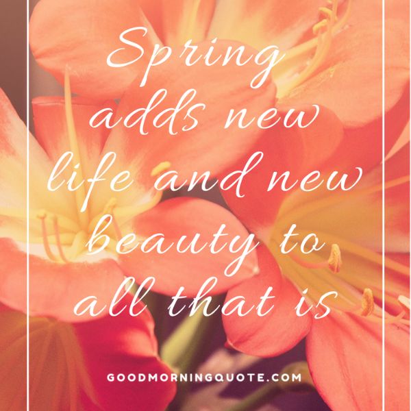 New Beginning Spring Quotes