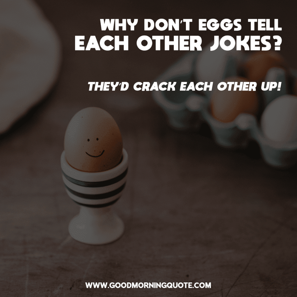 Why Don’t Eggs Tell Each Other Jokes?