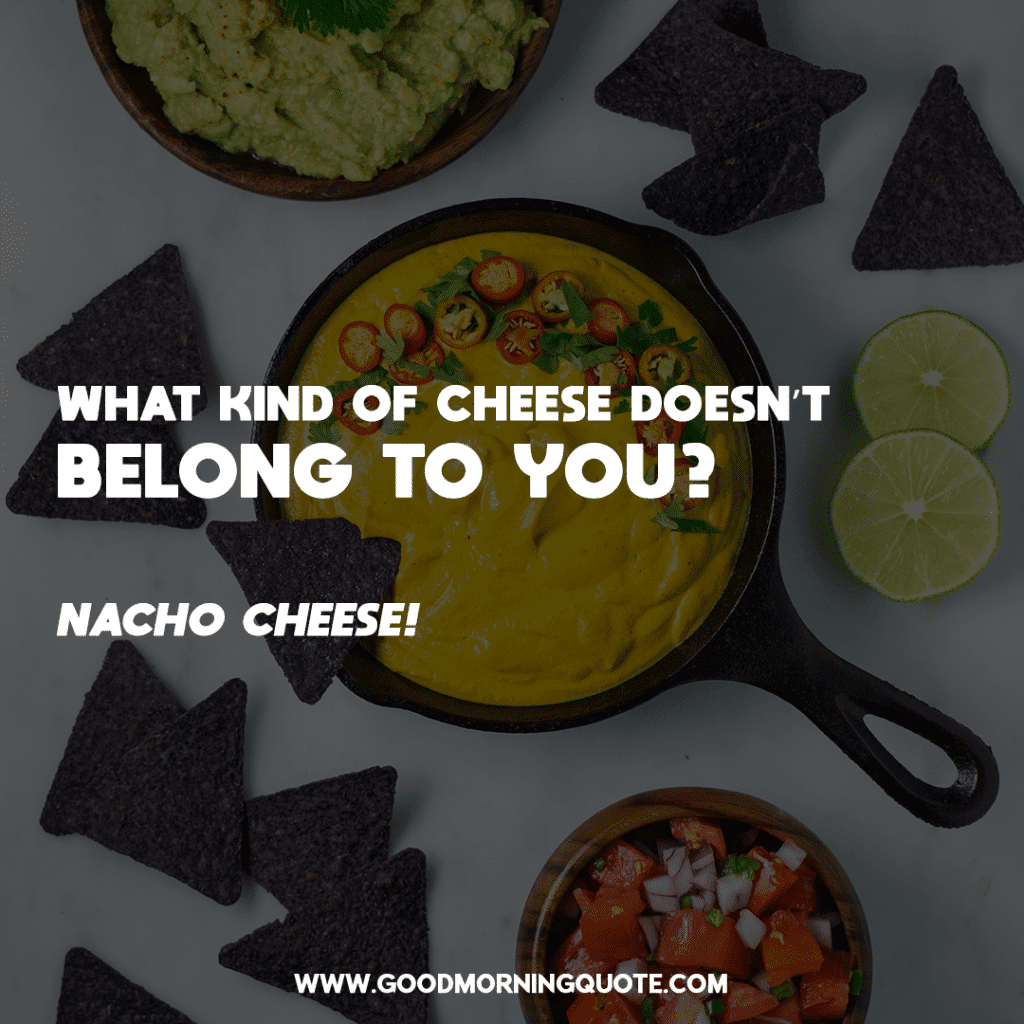 What Kind of Cheese Doesn’t Belong to You?