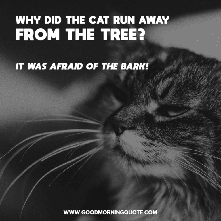 10 Hilarious Jokes That Will Make You Laugh Out Loud