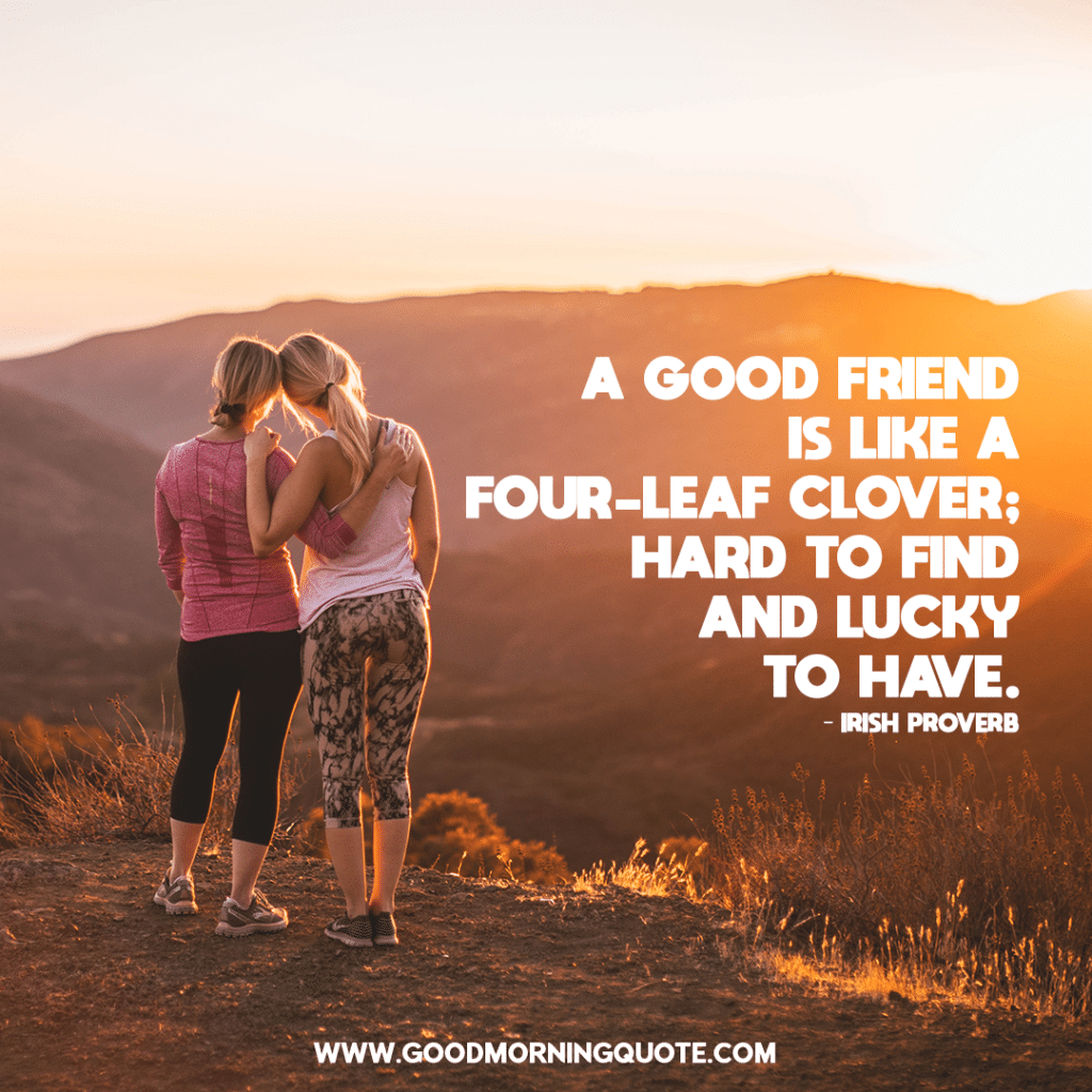 True Friendship Quotes That Will Help You Build Stronger Bonds