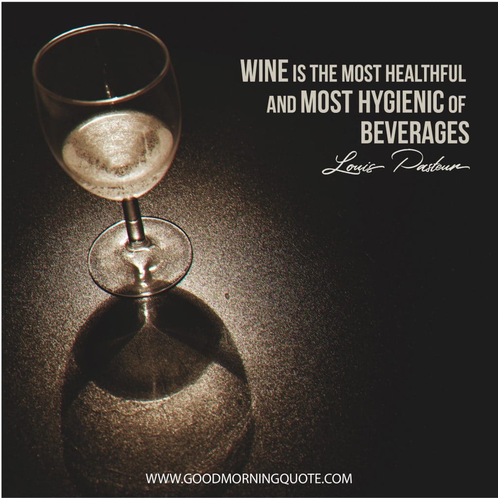 Hilarious Wine Quotes That Will Make You Laugh - Good Morning Quote