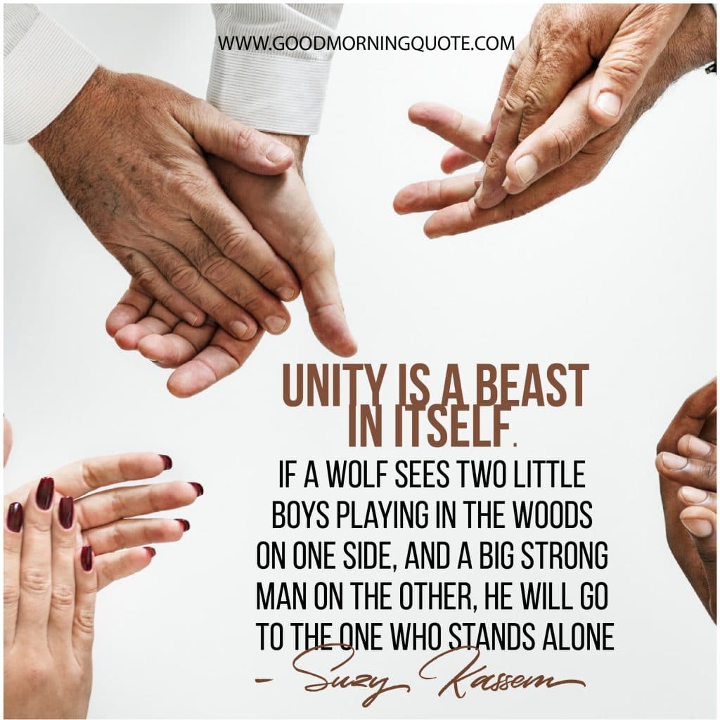 unity quotes, diversity quotes, teamwork quotes, team quotes, 