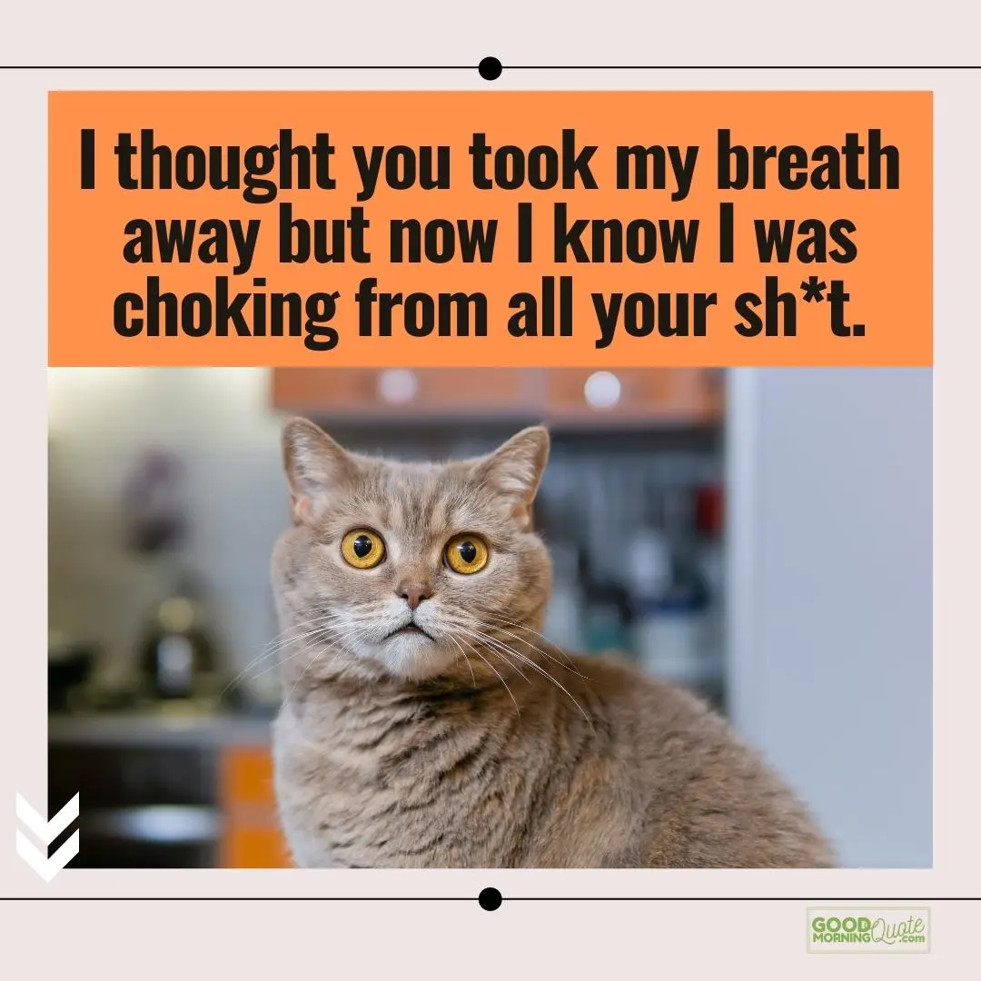 I thougth you took my breath away funny ex relationship quote with cat