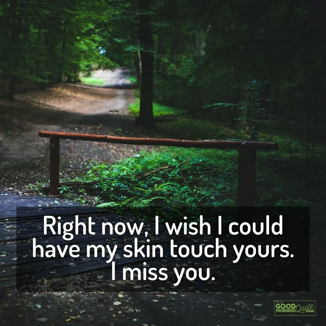 I wish I could have my skin touch yours miss you quote with trees and green land background