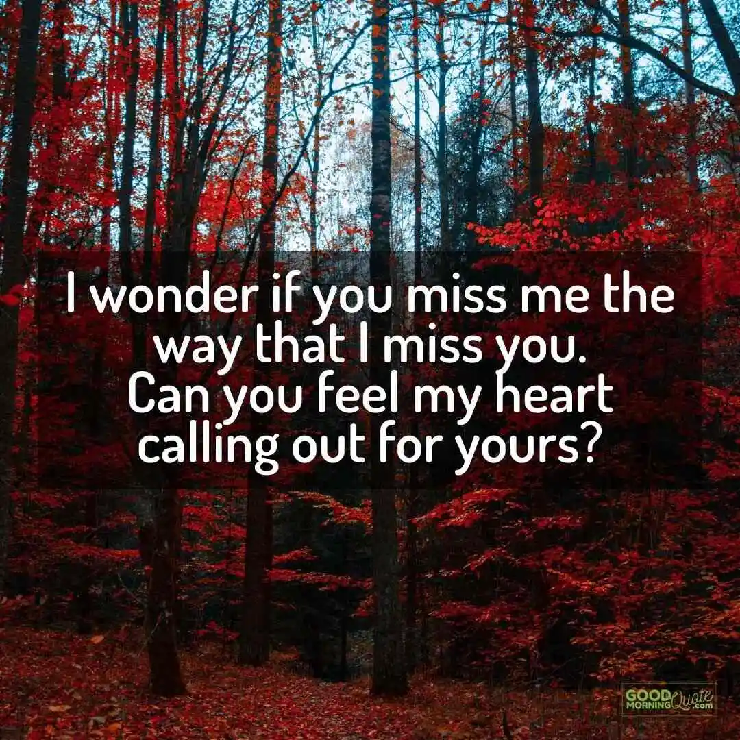 I wonder if you miss me love quote with red trees background
