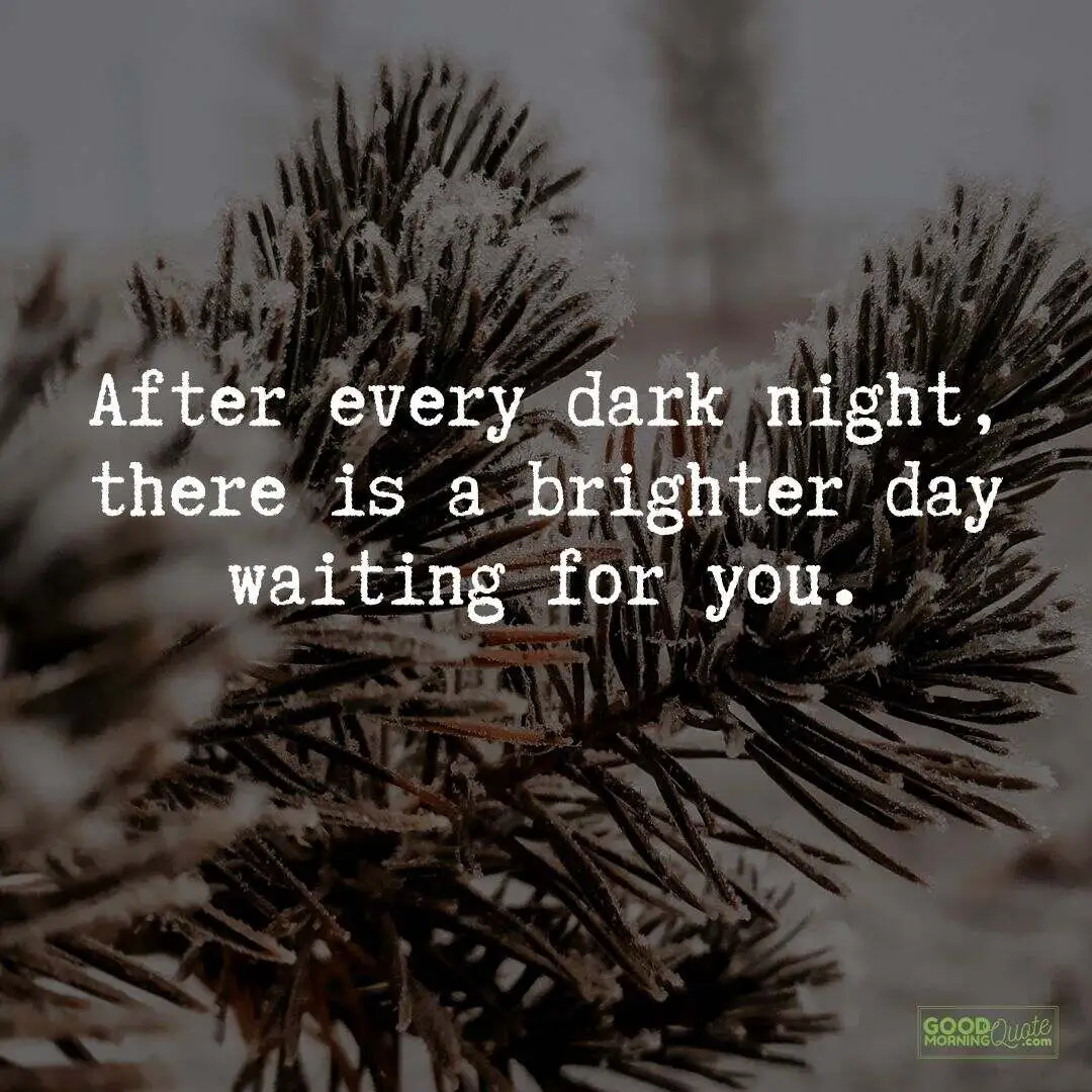 after every dark night with plant covered in snow background
