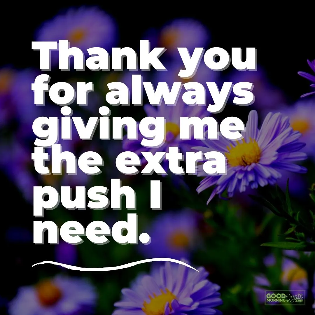 109 Best Thank You Quotes for Gratitude (with Pictures)