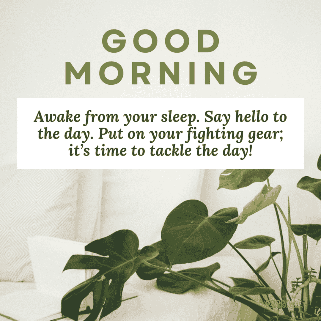 awake from your sleep morning inspirational quote, green plant white background