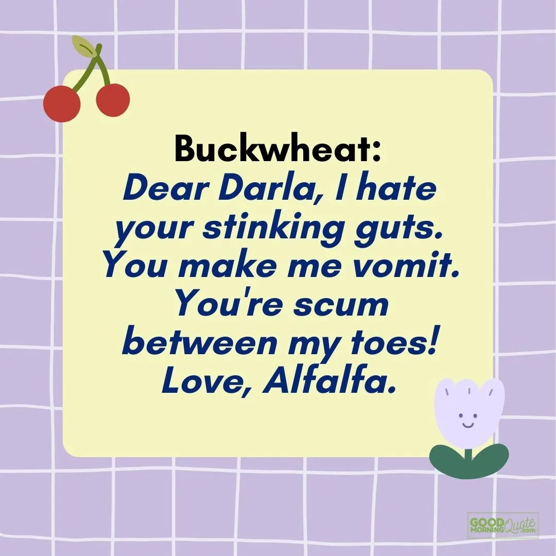 dear darla with purple abstract background