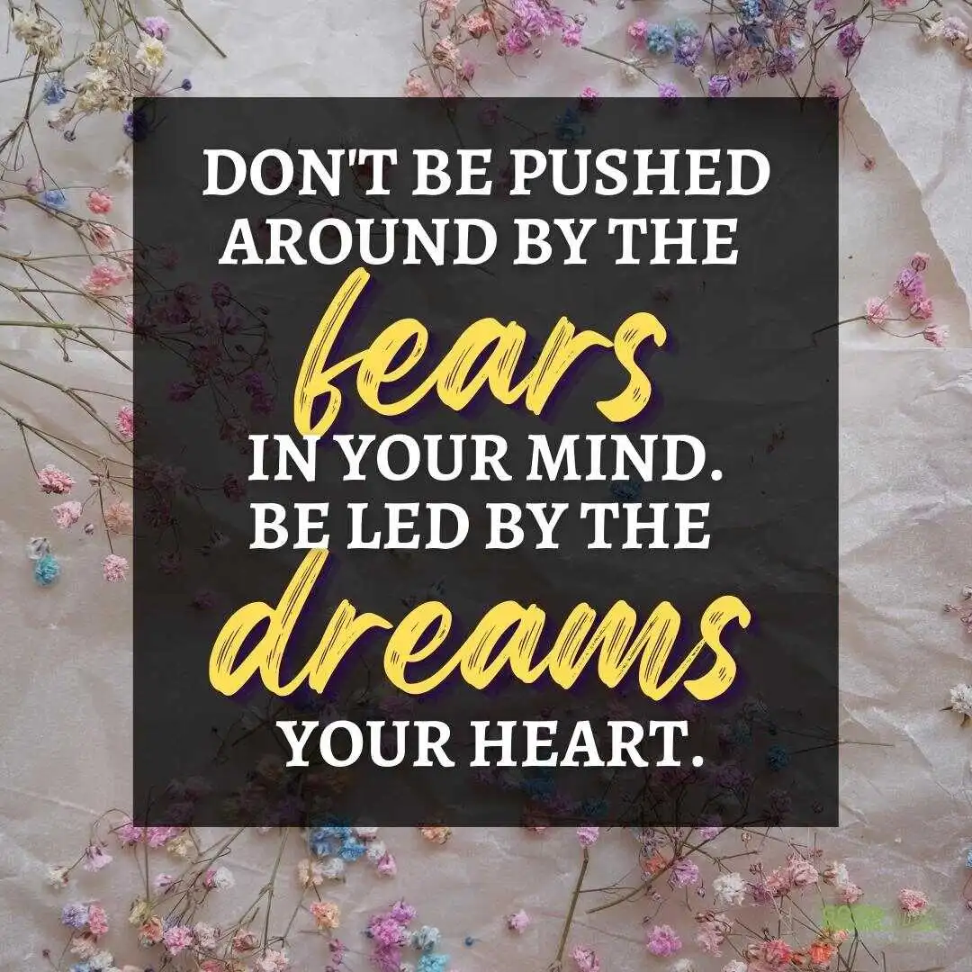 don't be pushed around happy positive quote with flowers in the background
