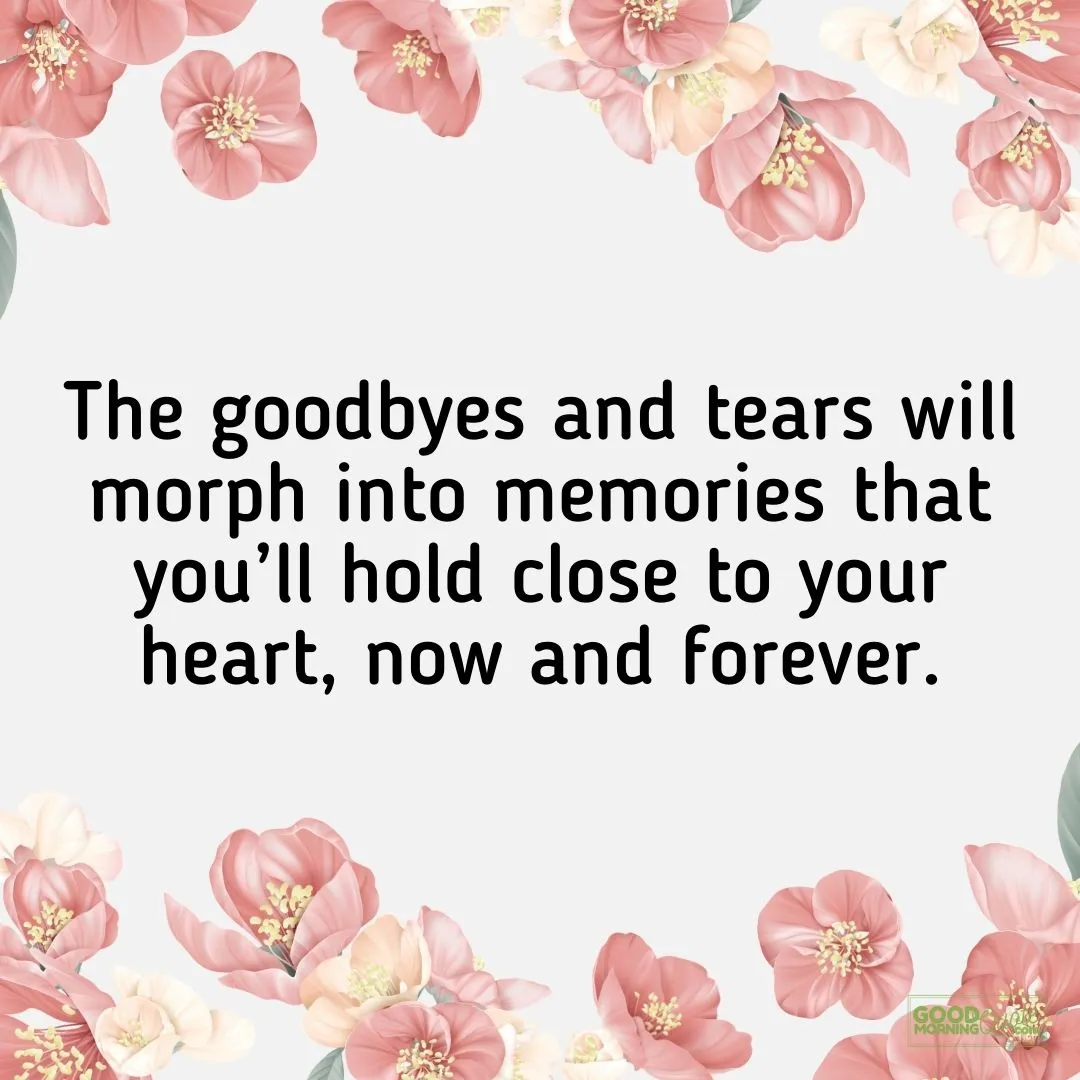 goodbyes and tears sympathy quote