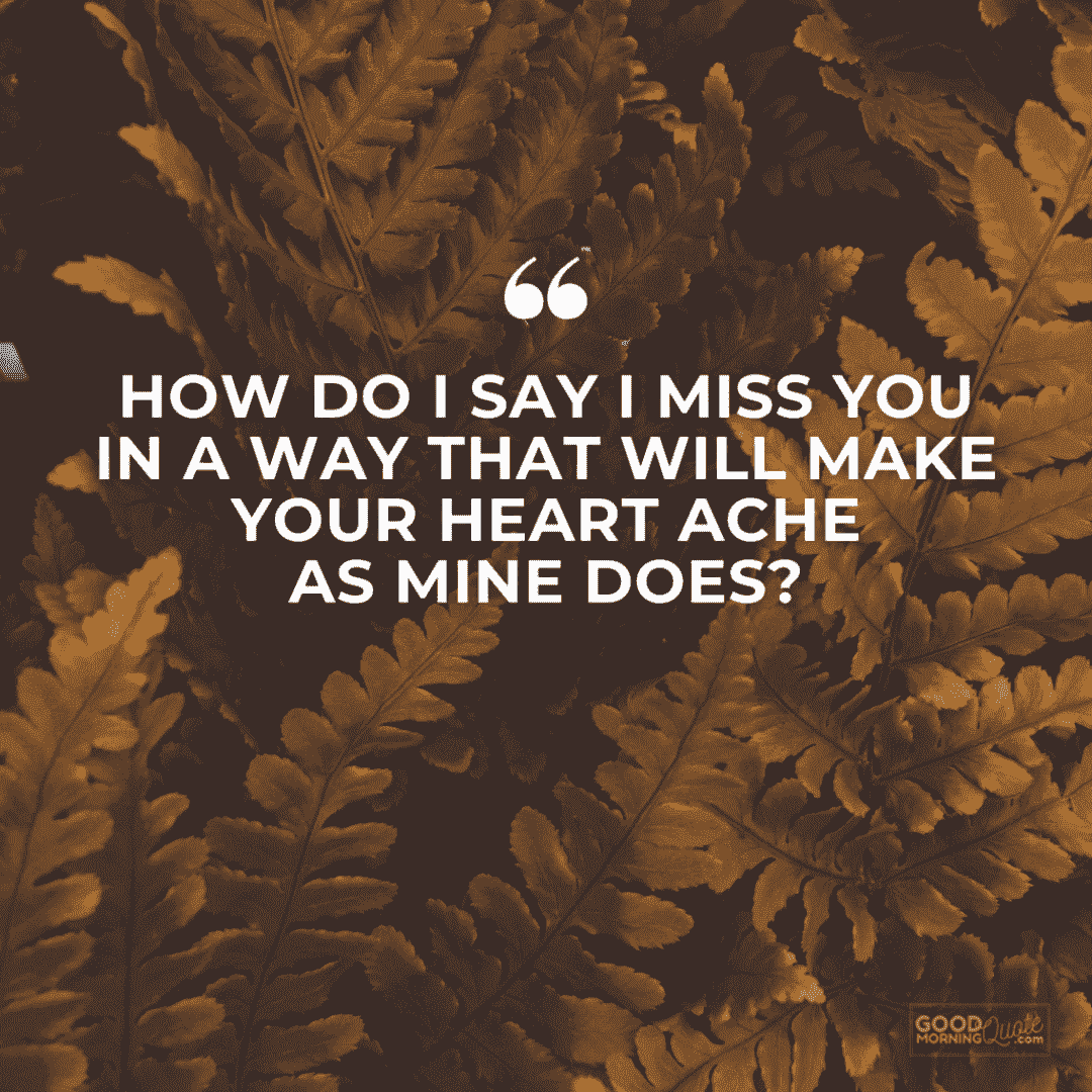 "how do I say I miss you" love quote with leaves in the background
