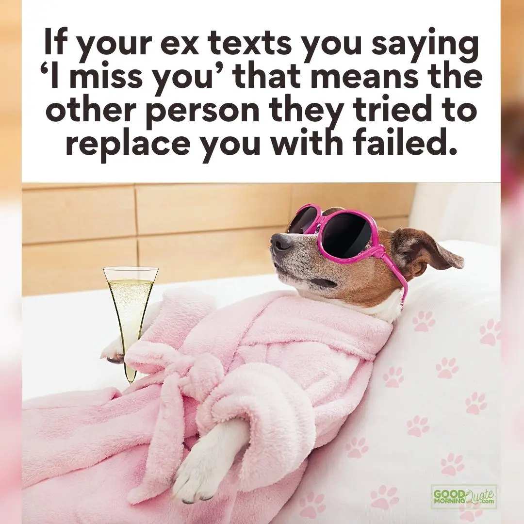 if your ex texts you funny ex relationship quote with a funny dog wearing pink glasses in the background