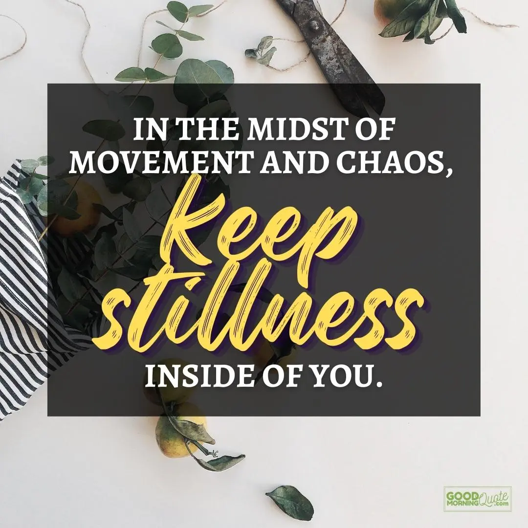 in the midst of movement and chaos happy positive quote with plants on white background