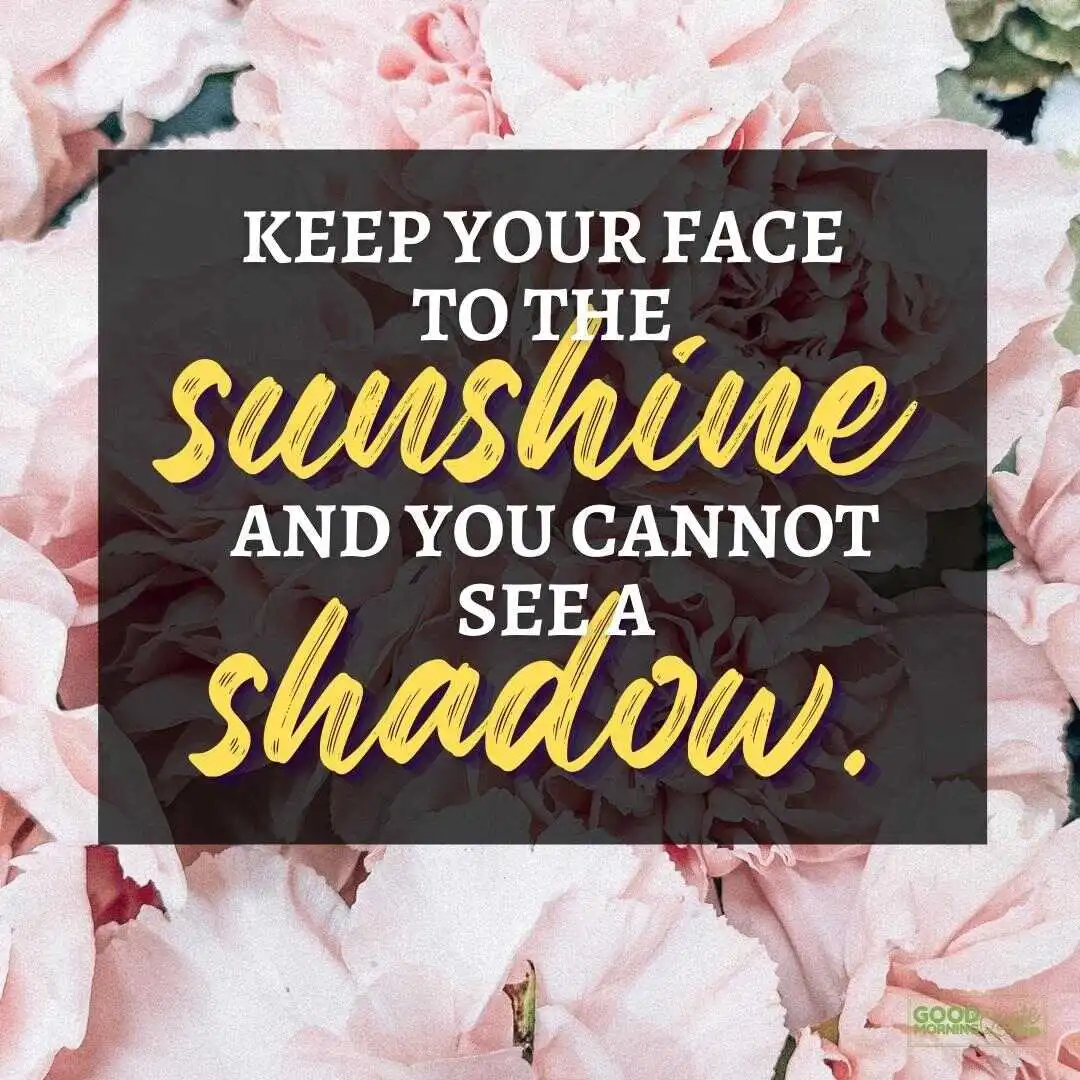 keep your face to the sunshine happy positive quote with flowers in the background