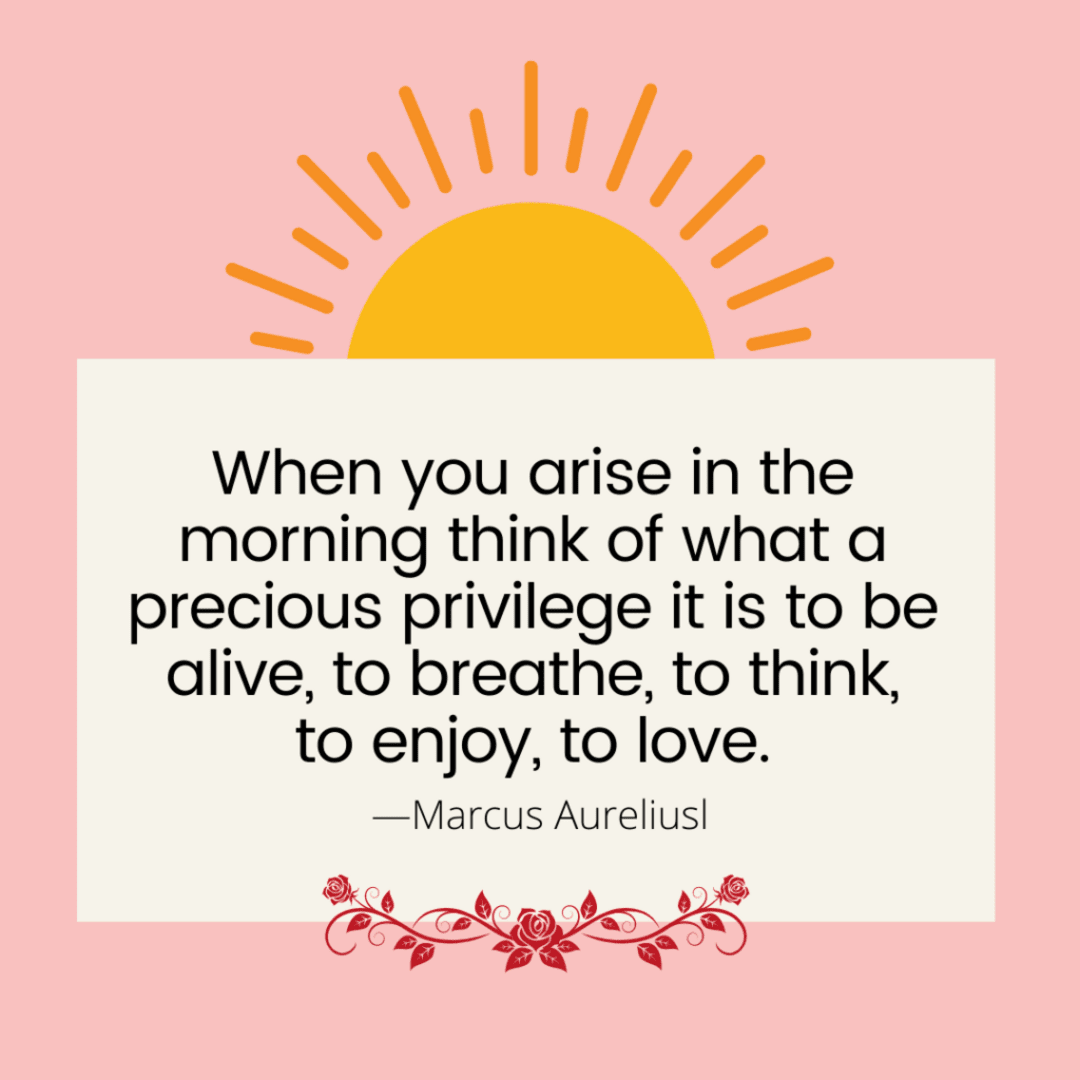 morning precious privilege quote, sun, flower details, Marcus Aurelius quote, pink background