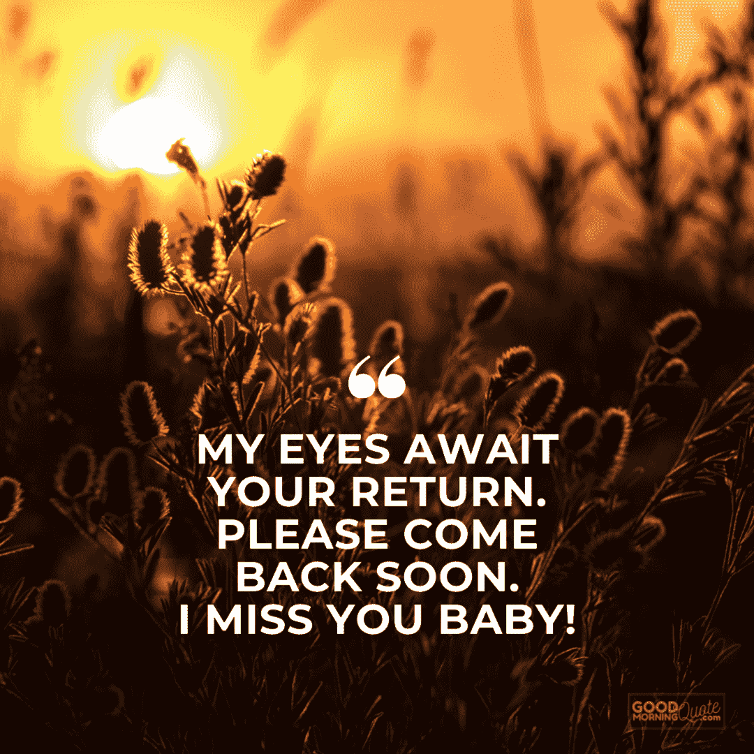 "my eyes await your return" missing someone love quote with sunset and plants in the background