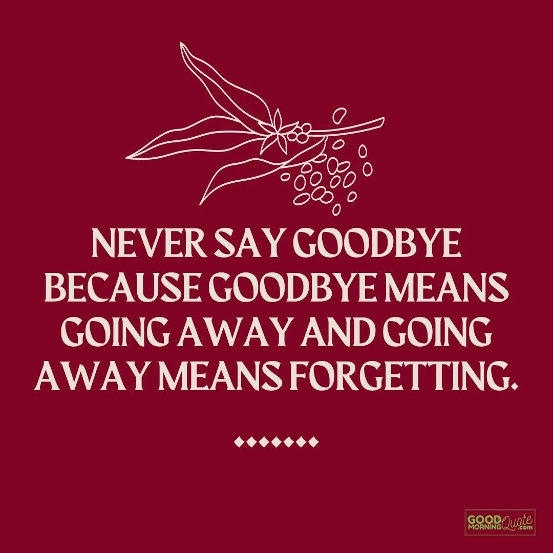 "never say goodbye" farewell quote on red background