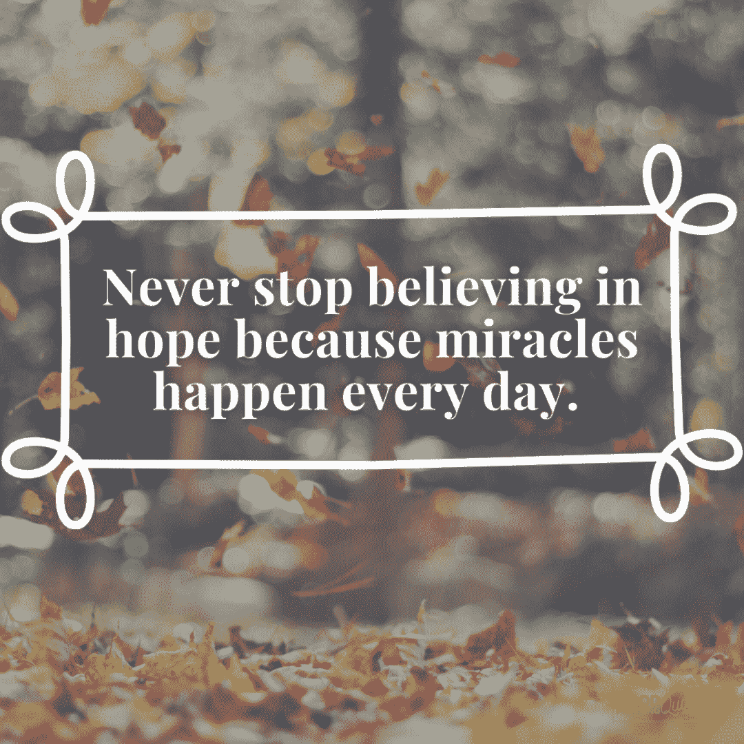 never stop believing in hope morning inspirational quote, text box fall background