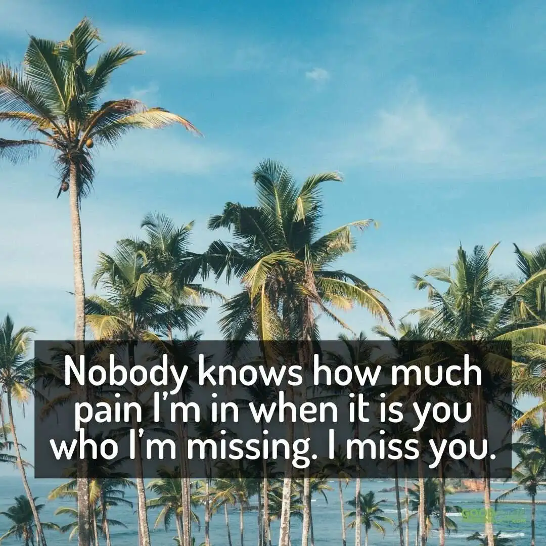 nobody know how much pain miss you quote with coconut trees and sky background