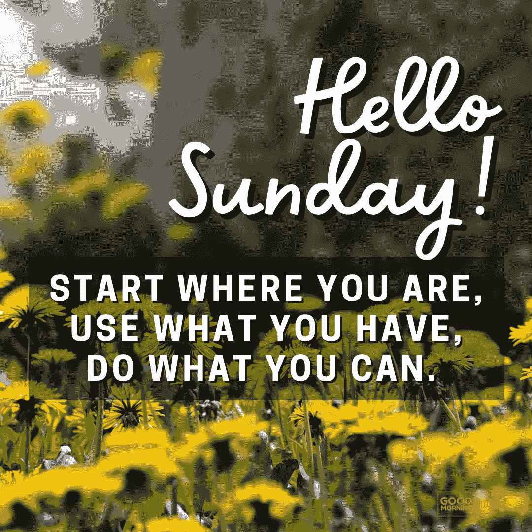 "start where you are" inspirational sunday quote on yellow flowers background