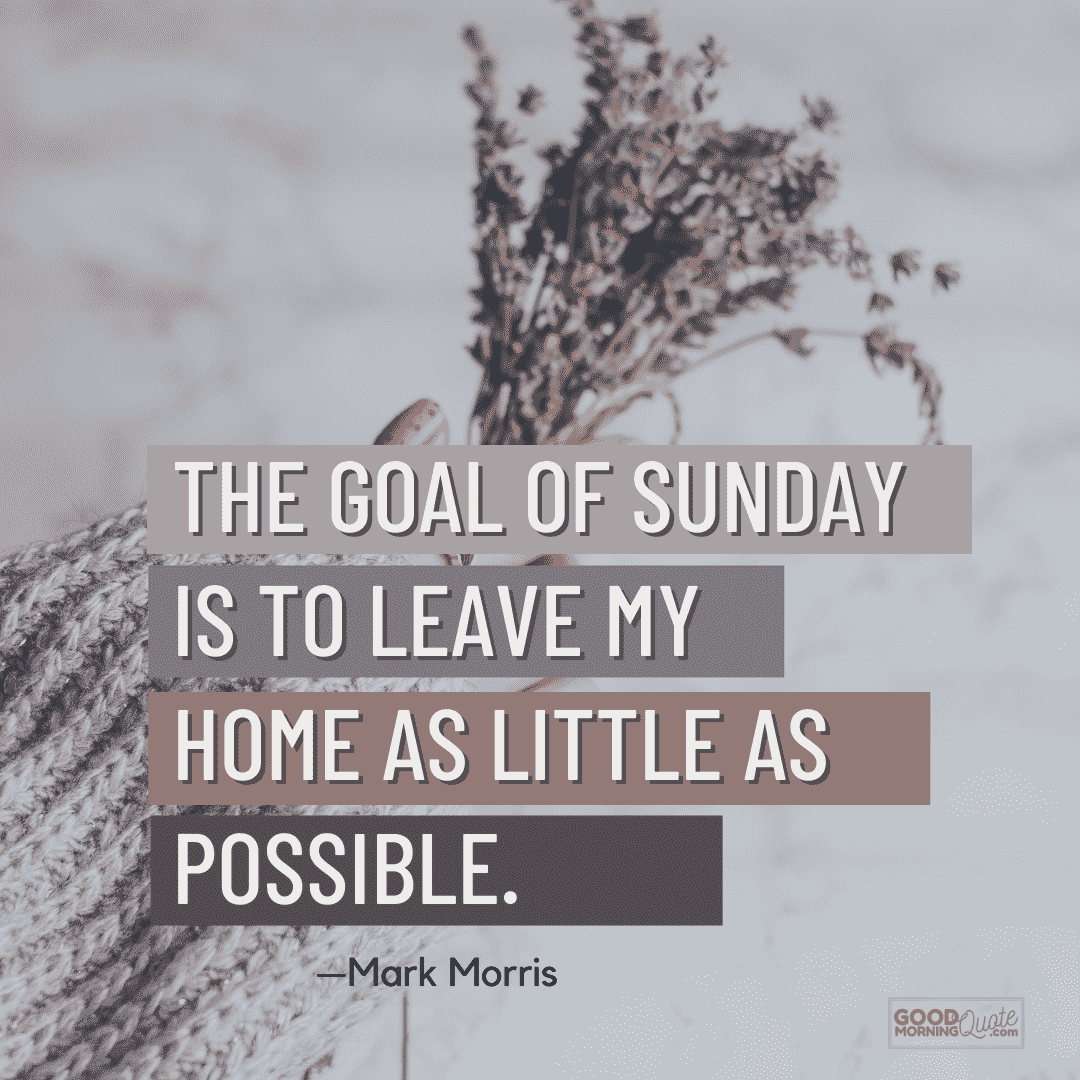 "the goal of sunday" inspirational sunday quote with person holding plant in hand background